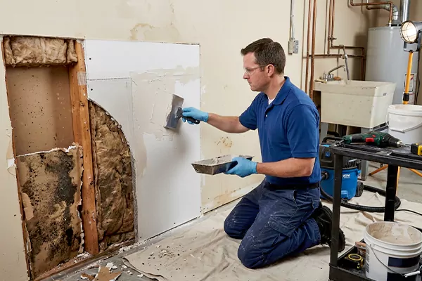 Mold and Drywall Repair Laguna Hills