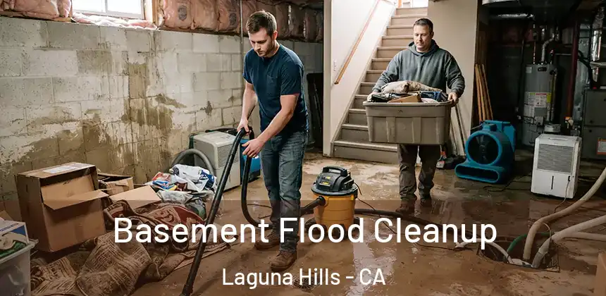  Basement Flood Cleanup Laguna Hills - CA