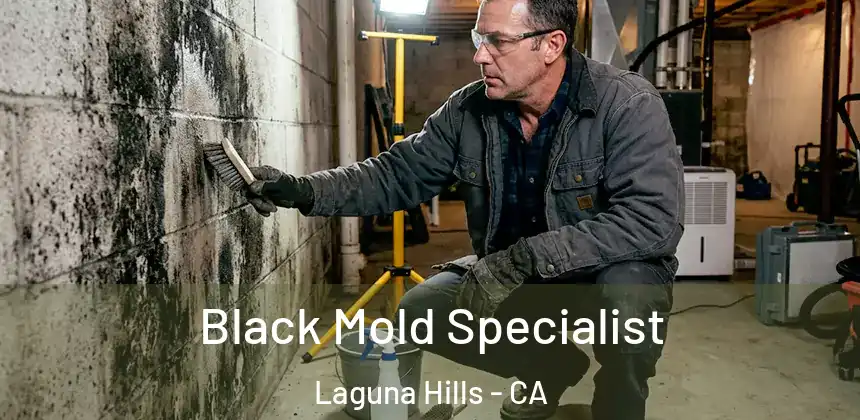  Black Mold Specialist Laguna Hills - CA