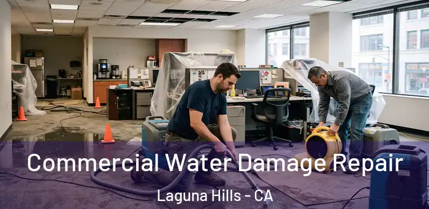  Commercial Water Damage Repair Laguna Hills - CA