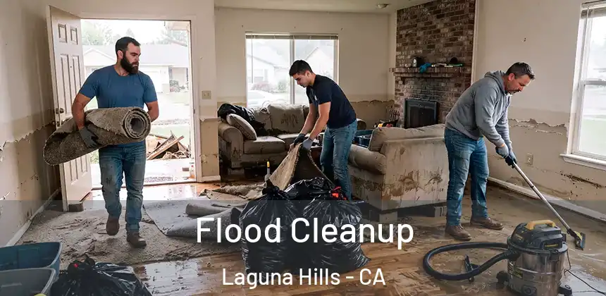 Flood Cleanup Laguna Hills - CA