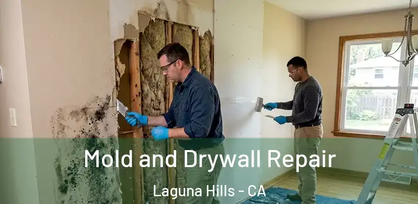  Mold and Drywall Repair Laguna Hills - CA