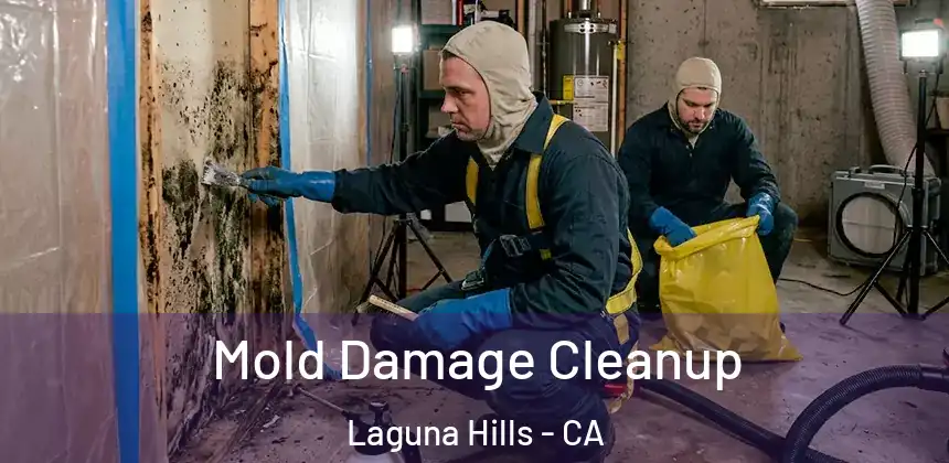 Mold Damage Cleanup Laguna Hills - CA
