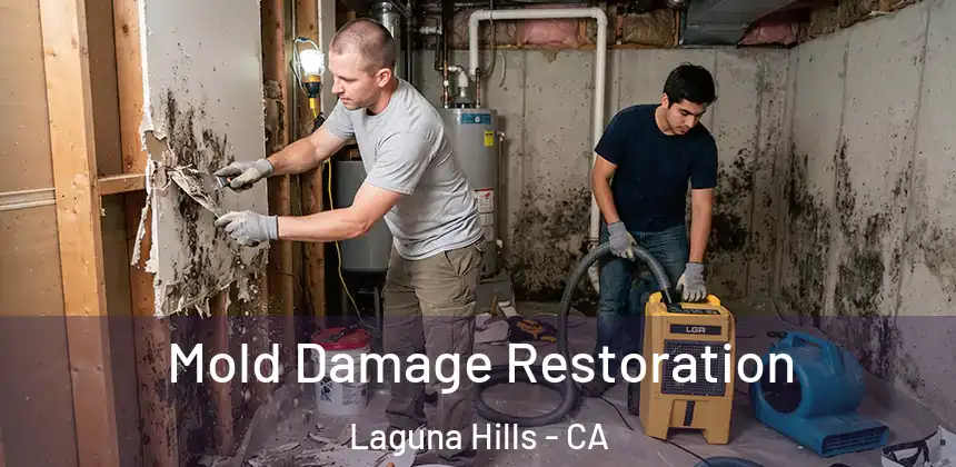  Mold Damage Restoration Laguna Hills - CA