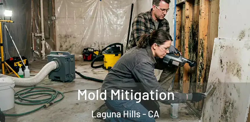  Mold Mitigation Laguna Hills - CA