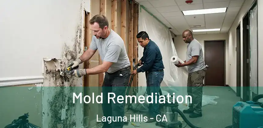  Mold Remediation Laguna Hills - CA