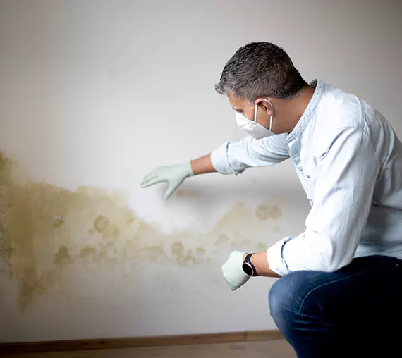 Mold Removal Service in Laguna Hills, CA