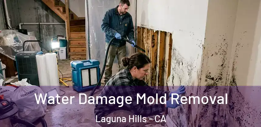  Water Damage Mold Removal Laguna Hills - CA