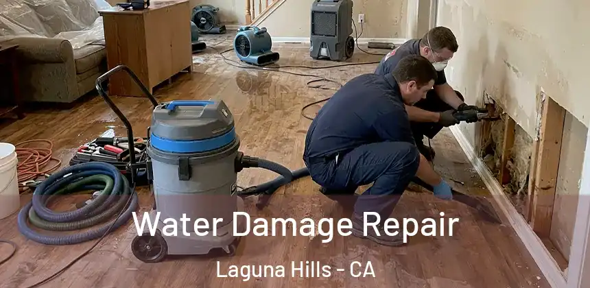  Water Damage Repair Laguna Hills - CA