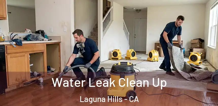  Water Leak Clean Up Laguna Hills - CA